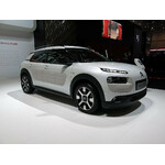 C4 Cactus (14-20)